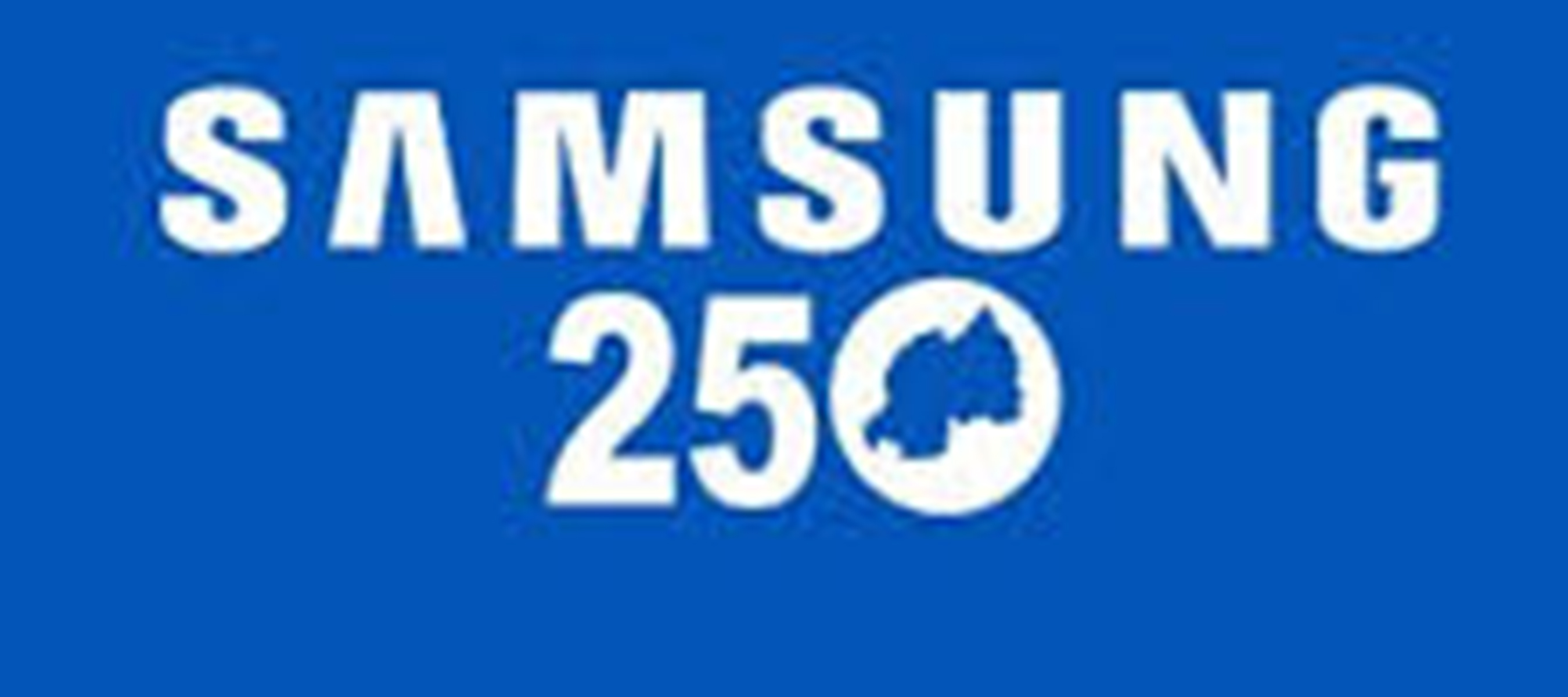 Samsung 250 Store